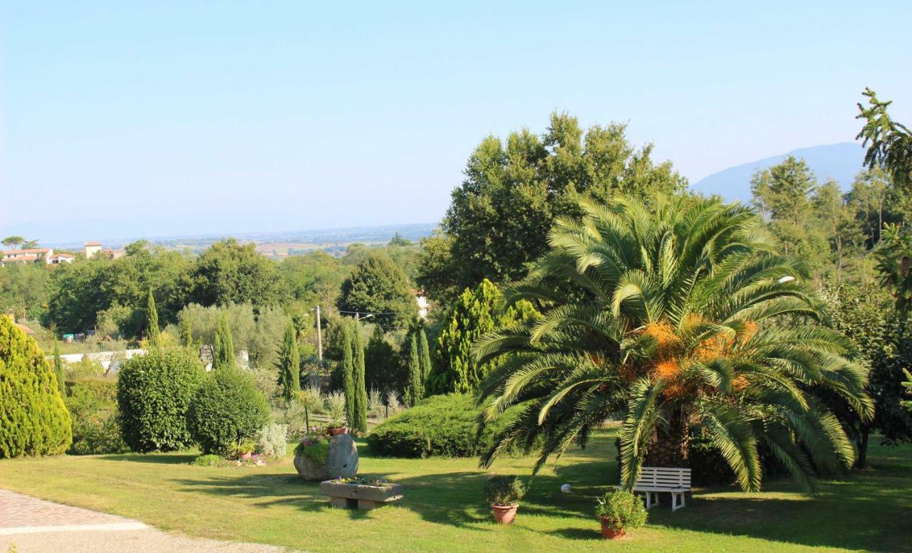 Il Roseto Di Daniela 3* Montefiascone